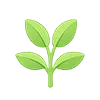 植物