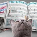 澳洲宠物健康报告，一只狗一生看病花费