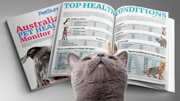 澳洲宠物健康报告，一只狗一生看病花费