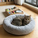 新手养猫睡眠环境准备法