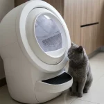 自动猫砂盆选购利弊全面解析