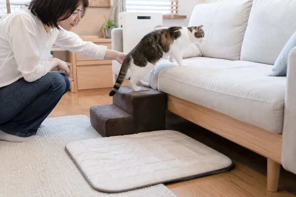猫不愿跳高低矮踏步辅助