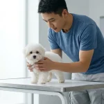 新宠到家驱虫和疫苗哪个先做