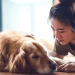 狗突然倒地站不起来怎么判断