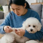 狗被咬伤后的处理步骤和感染风险