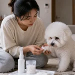 狗狗脚掌被刺扎后自取还是就医的判断