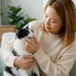 猫咪牙齿护理从几岁开始