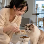 猫咪喂食量不能只看包装建议的原因