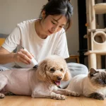 夏天给猫狗剃毛真的更凉快吗